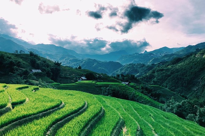 Discover the Beauty of Sa Pa: A One-Day Trek - Transportation, meeting point, and how the day closes