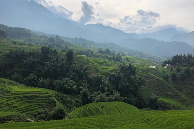 Discover the Beauty of Sa Pa: A One-Day Trek - Stop 1: Y Linh Ho Village and Black Hmong culture (1 hour, ticket included)