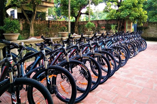Discover Trang An Natural World Heritage, Bich Dong Pagoda, Cycling Day Tour - A smooth Hanoi-to-Ninh Binh day trip with a small group