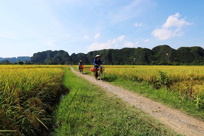 Discover Trang An Natural World Heritage, Bich Dong Pagoda, Cycling Day Tour - Price and logistics: what $79 buys you (and what it doesn’t)