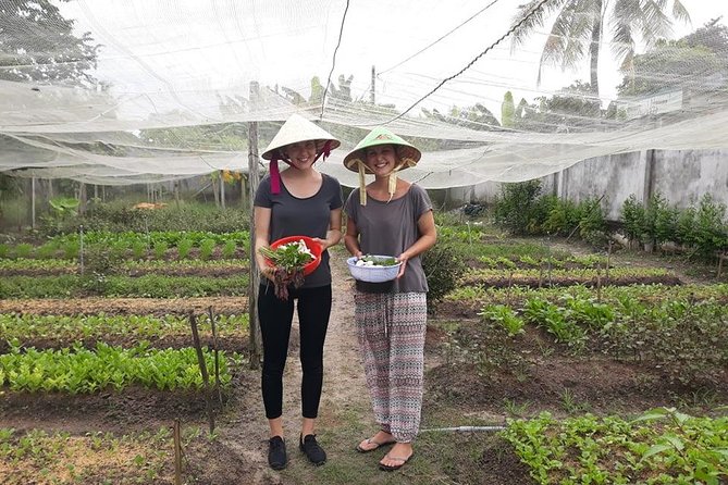 Discover vietnamese Agriculture,culture ,Cuisine and Cu chi Tunnels in Saigon - Lunch and snacks: included fuel for a long day