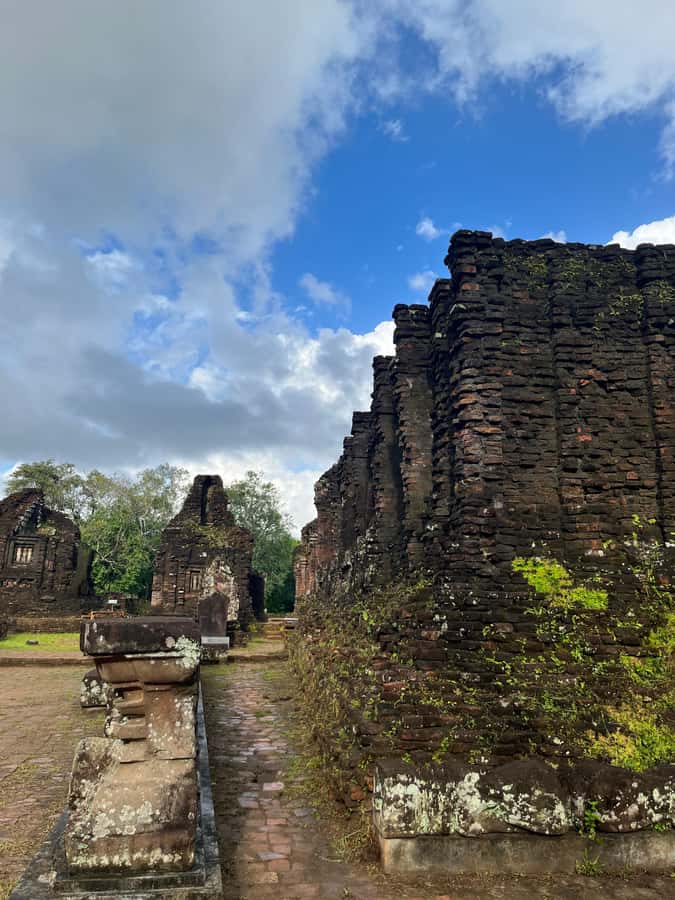 Early My Son tour/transfer to avoid crowd and the heat - Learning Champa Kingdom stories where they actually make sense