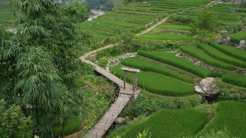 Easy Trek in Sapa mountain : Y Linh Ho - Lao Chai - Ta Van - Key Highlights That Make This Trek Worth Your Time