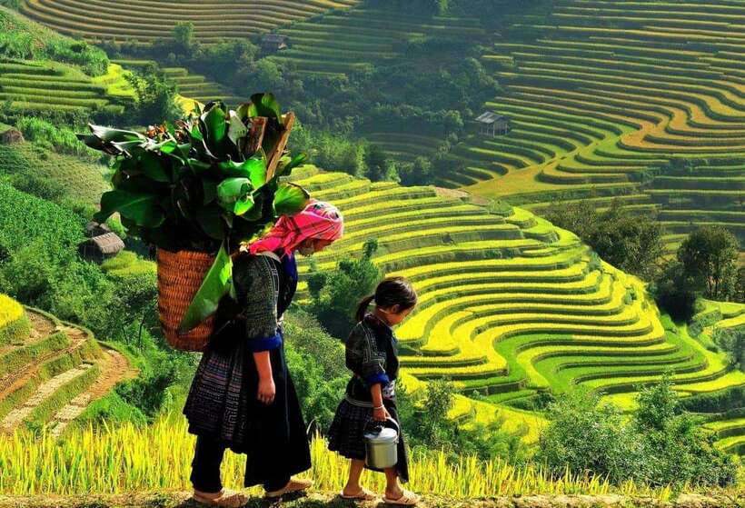 Easy Trek in Sapa mountain : Y Linh Ho - Lao Chai - Ta Van - Bamboo Forest Climb and the Muong Hoa River Hanging Bridge