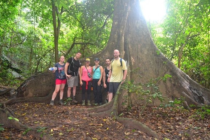 Elephant Cave and Ma Da Valley | Secrets of Phong Nha | Full Day - Elephant Cave trekking: short hike, real cave moments, safety-first gear