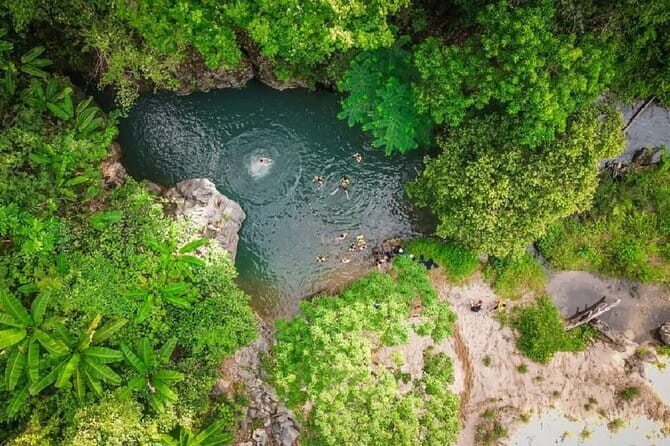 Elephant cave and Mada valley Jungle trek - 1Day - Key things I’d bet on before you book