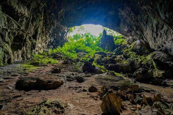 Elephant cave and Mada valley Jungle trek - 1Day - Elephant Cave to Tra Ang Cave: why this 1-day trek feels like a real adventure