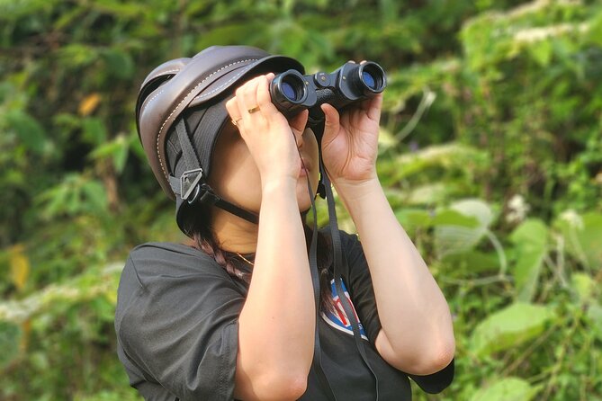 Endangered Monkeys Watching - Red Shanked Douc Langurs - The scooter ride to the monkey zones: views, stops, and safety