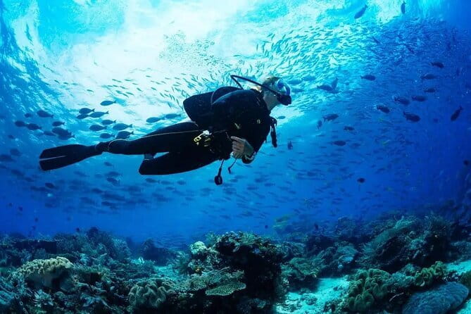 Experience Nha Trang Scuba Diving with Certified Dive - Coral Reef Point on Hon Tam Island: What Makes It Worth Your Time