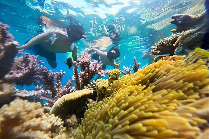Experience Nha Trang Scuba Diving with Certified Dive - Lunch and the Floating-Fishing-Village Break
