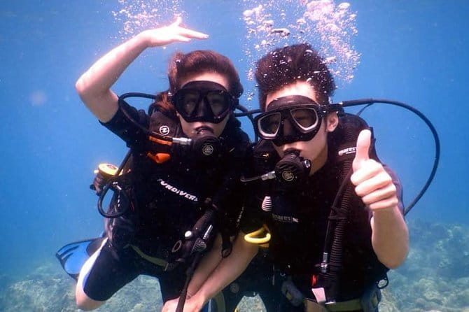 Experience Nha Trang Scuba Diving with Certified Dive - Who This Tour Fits Best (and Who Might Want Another Option)