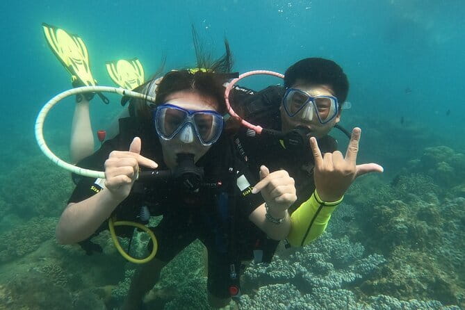 Experience Nha Trang Scuba Diving with Certified Dive - Safety and Gear: The Stuff That Actually Makes Scuba Feel Easy