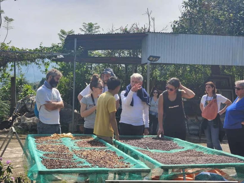 Experience specialty coffee with sustainable coffee farmers - Brewing Light, Medium, and Dark: How to Taste Without Guessing