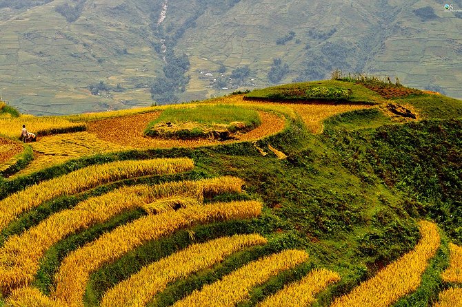 Explore Nature View And Homestay Experience - Where the trek begins: Sapa Church at 9:00 am