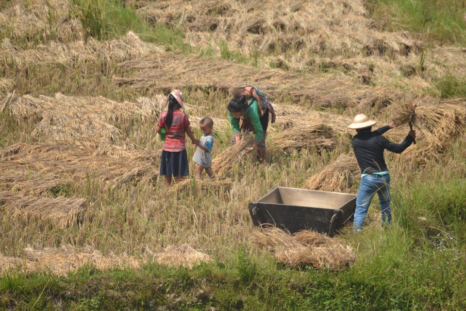 Explore Sa Pa with Overnight Train & Sleeper Bus & Trekking - Price and Value: What $145 Gets You in Real Terms