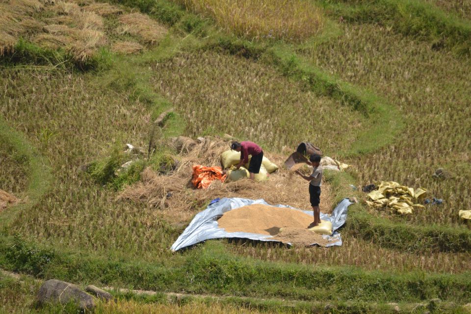 Explore Sa Pa with Overnight Train & Sleeper Bus & Trekking - Arriving in Sa Pa at 1,650 Meters: A Different Kind of Morning