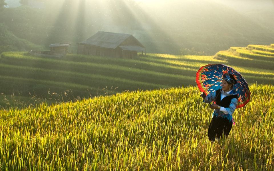 Explore Sa Pa with Overnight Train & Sleeper Bus & Trekking - Hanoi to Lao Cai: The Rhythm of a Sleeper Journey