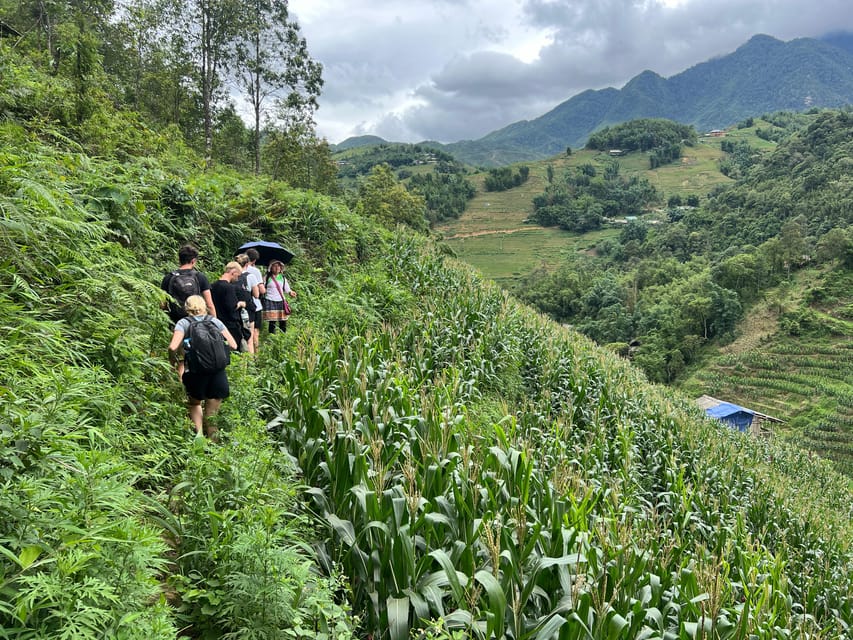 Explore Sapa by TrekkingAdventures, Mountain,Rice fields - Key highlights you’ll feel fast