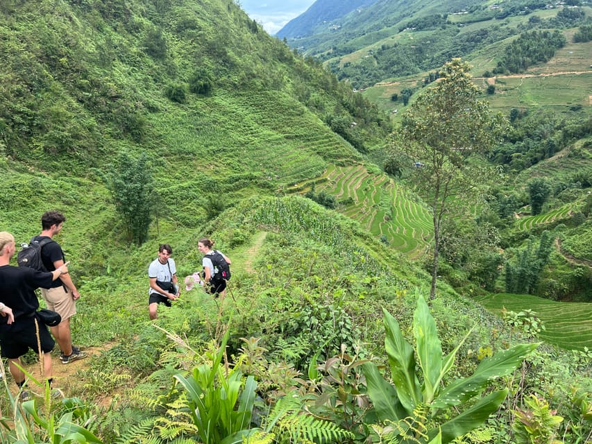 Explore Sapa by TrekkingAdventures, Mountain,Rice fields - Should you book this one-day Sapa trek?