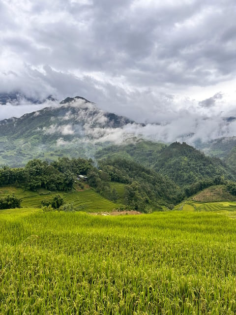 Explore Sapa by TrekkingAdventures, Mountain,Rice fields - Why this trek works: Hmong sisters tell the story as you walk