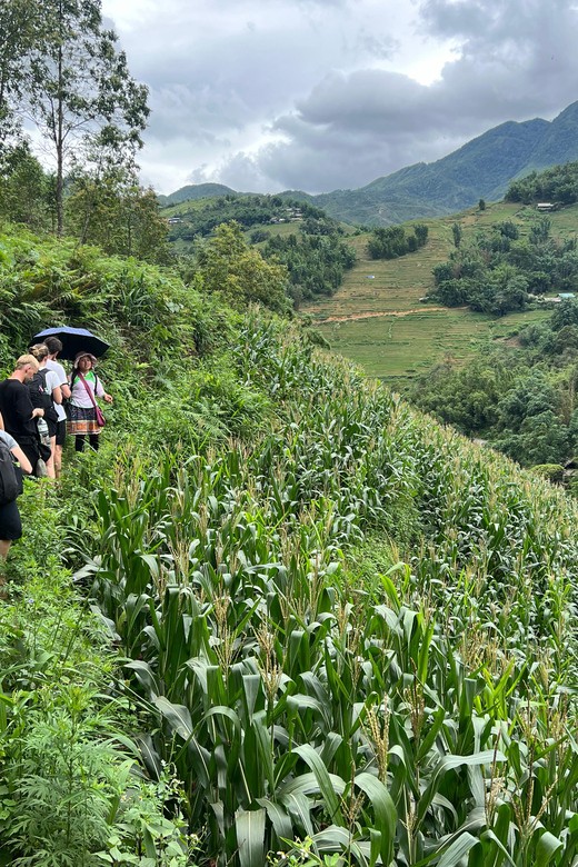 Explore Sapa by TrekkingAdventures, Mountain,Rice fields - Lunch in Lao Chai: what’s included and why it’s a big deal