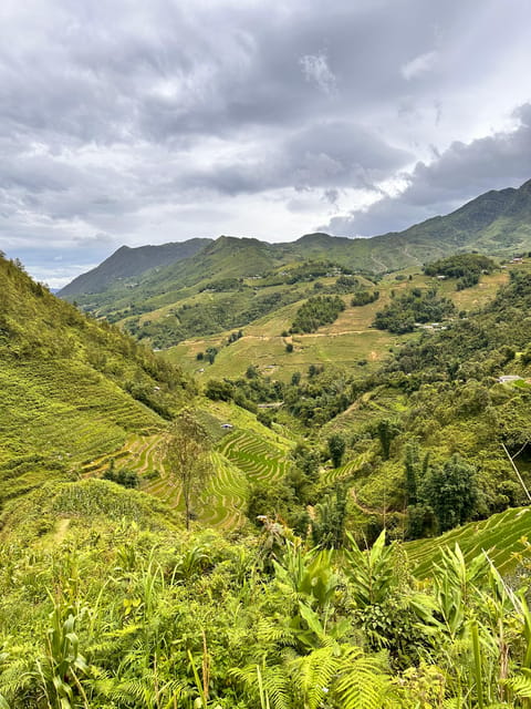 Explore Sapa by TrekkingAdventures, Mountain,Rice fields - Price and value: what $23 buys you in the real world
