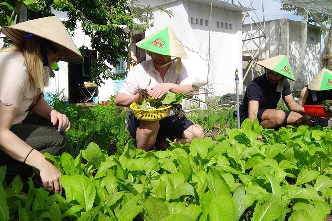 Explore Vietnamese Cuisine: Cooking Class from Ho Chi Minh City - Who This Tour Suits Best (And Who Might Want to Skip It)