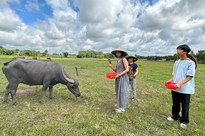 Exploring organic farm & Vietnamese Culinary with Master chef - Key highlights you can plan around