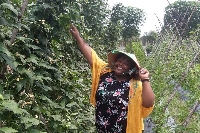 Exploring organic farm & Vietnamese Culinary with Master chef - Morning pickup in Ho Chi Minh City: timing and what to expect