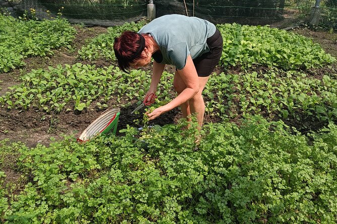 Exploring organic farm & Vietnamese Culinary with Master chef - Yin-Yang cooking: what it means on a real Vietnamese menu