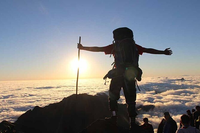 Fansipan Mount Trekking 1 Day - Summiting Fansipan and that certificate moment