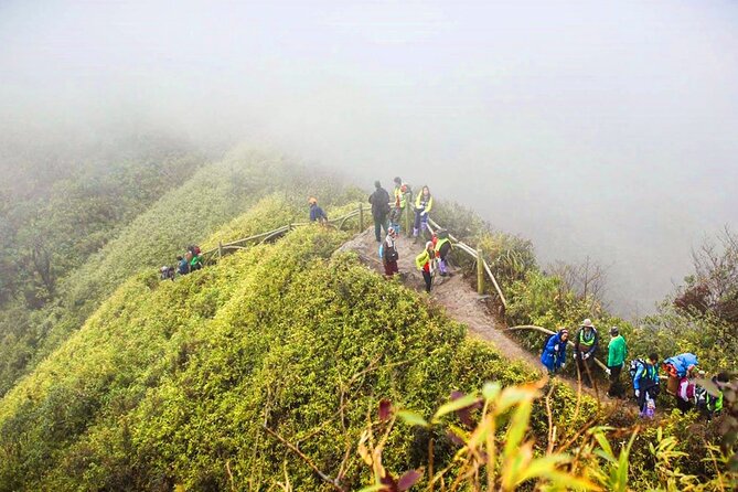 Fansipan Mount Trekking 1 Day - The trek begins: bamboo forests to the first big uphill grind