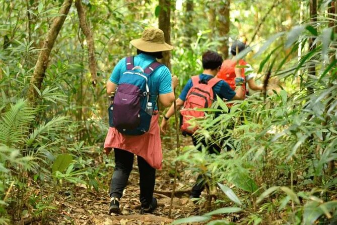Fansipan Trek One Day Tour – Roof of Indochina - At the summit by noon: what you get at Fansipan peak