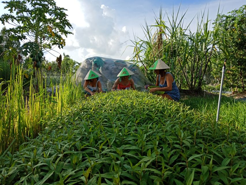 Farm-To-Table Healthy Cooking Class: Half-Day Tour - Farm-to-table healthy cooking in Ho Chi Minh City: the real point of the day