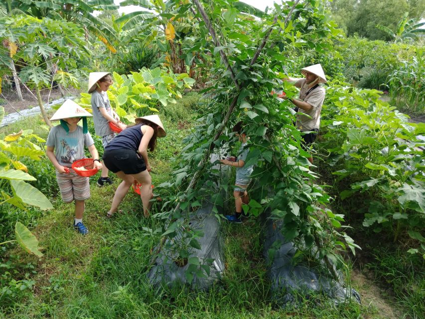 Farm-To-Table Healthy Cooking Class: Half-Day Tour - Price and value: is $70 for 6 hours worth it?