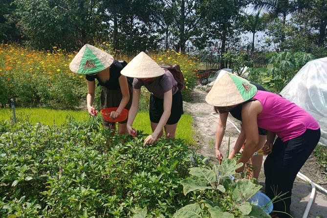 Farm-To-Table Healthy Cooking Class in Ho Chi Minh City - From pickup to farm gate: how the day really plays