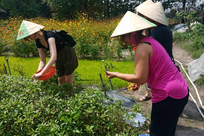 Farm-To-Table Healthy Cooking Class in Ho Chi Minh City - The cooking part: four dishes, one technique at a time
