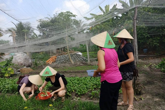 Farm-To-Table Healthy Cooking Class in Ho Chi Minh City - Logistics that can make or break the experience