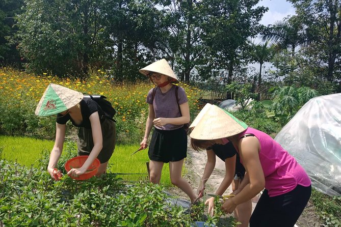 Farm-To-Table Healthy Cooking Class in Ho Chi Minh City - Who should book this class in Ho Chi Minh City
