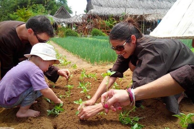 Farming with the Local Famers - Getting There Smoothly: Pickup, Timing, and Group Size