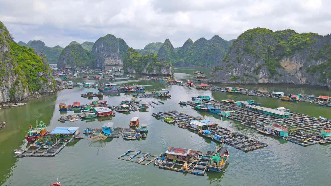 From Cat Ba: Lan Ha and Monkey Island Full Day Boat Trip - Lunch on Board (12:00–13:00): Refuel Without the Travel Hassle