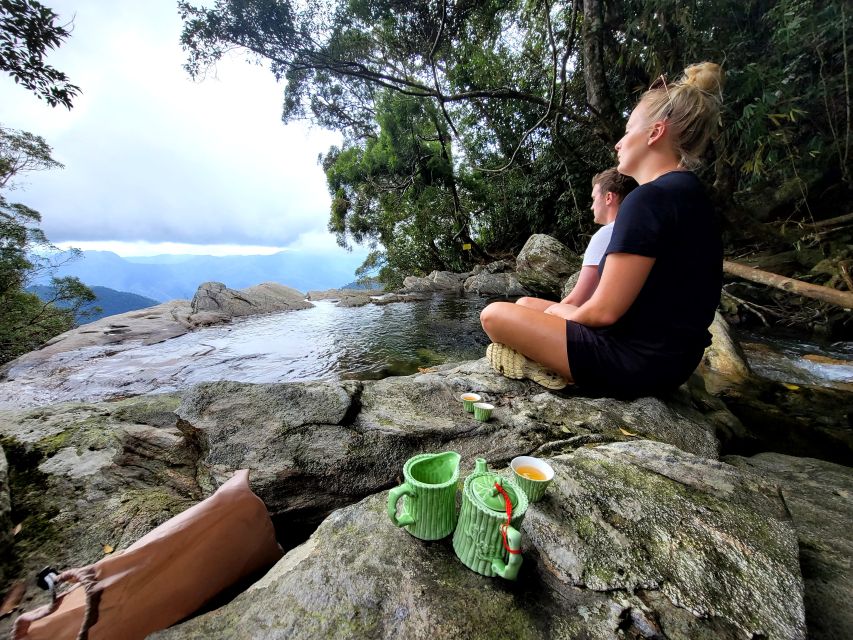 From Da Nang or Hoi An: Bach Ma National Park Trek & Lunch - Price, Difficulty, and Who Should Book This Tour