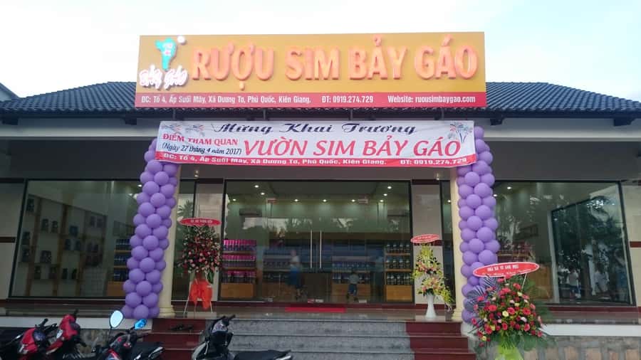From Duong Duong Town: South Phu Quoc Island Tour with Lunch - Key things that make this tour worth your time