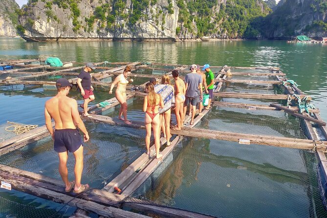 From Ha Noi/Cat Ba: Full-Day Cruise to Lan Ha bay - Ha Long Bay - Lan Ha Bay feels calmer than Ha Long—this route gives you both