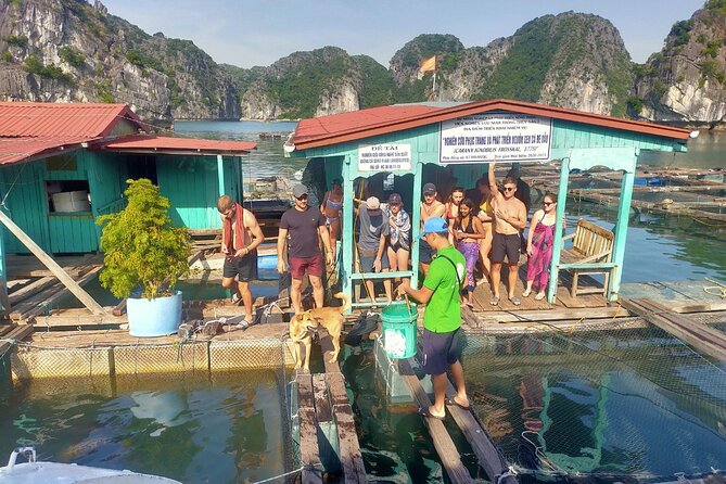 From Ha Noi/Cat Ba: Full-Day Cruise to Lan Ha bay - Ha Long Bay - Getting to Beo Pier: timing, pickup reality, and what to bring