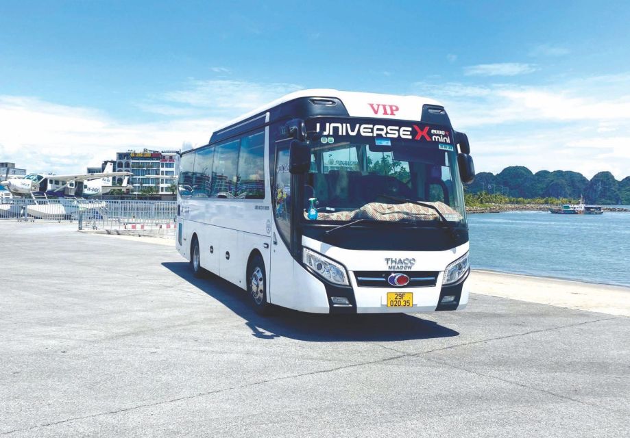 From Ha Noi - Fullday Trip Ha Long Bay - Lunch onboard + sunset party: the food rhythm is built in