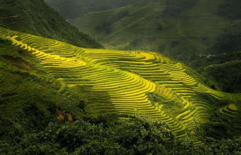 From Hanoi: 1-day Sapa Trekking Tour With Overnight Bus - Key Things You’ll Notice on This Sapa Trek Tour