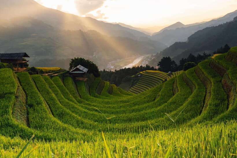 From Hanoi: 1-day Sapa Trekking Tour With Overnight Bus - Y Linh Ho to Lao Chai via Muong Hoa Valley: Rice Terraces and Real Village Walking