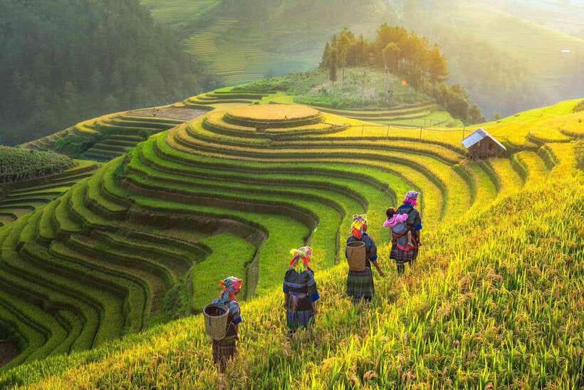 From Hanoi: 1-day Sapa Trekking Tour With Overnight Bus - Ta Van Village Lunch at a Homestay: Where the Trek Feels Like a Visit