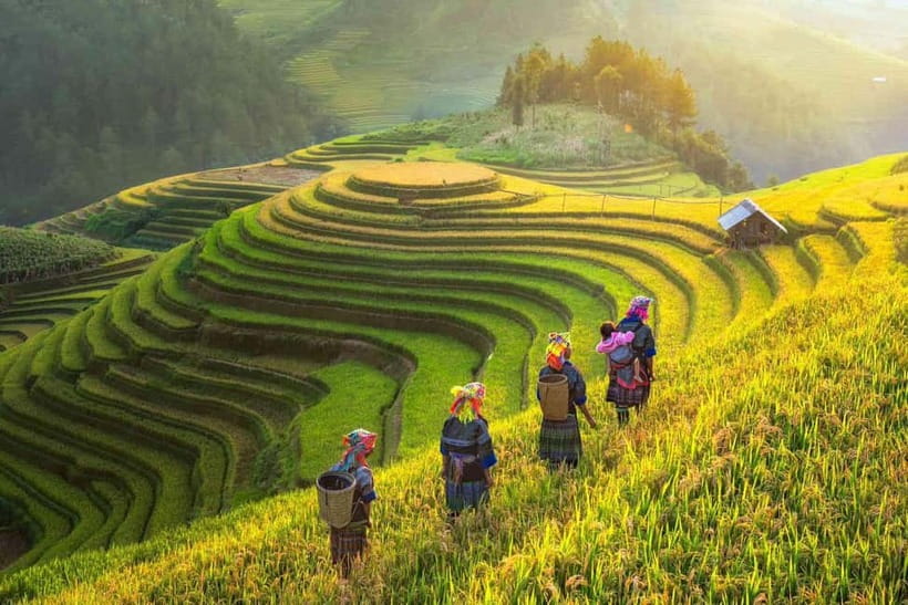 From Hanoi: 2-Day Luxury Sapa Trekking Tour with Homestay - Day 1 trek from Y Linh Ho to Lao Chai, then down to Muong Hoa Valley